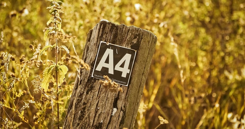 Relevé d’informations direct assurance : le guide pour tout comprendre