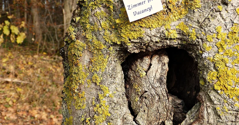 Comment trouver un bien dans son parc de biens