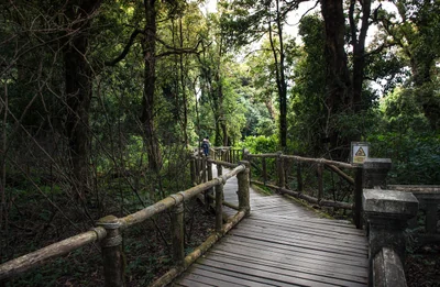 Intégrer CFConcept dans votre stratégie d'entreprise : guide complet 2026