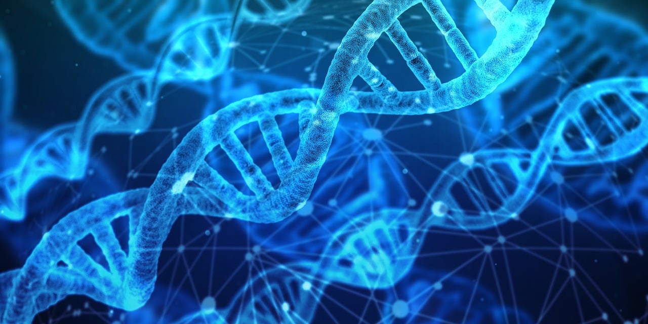 discover the latest trends and breakthroughs in innovation. explore how creative ideas and cutting-edge technologies are transforming industries and shaping the future.