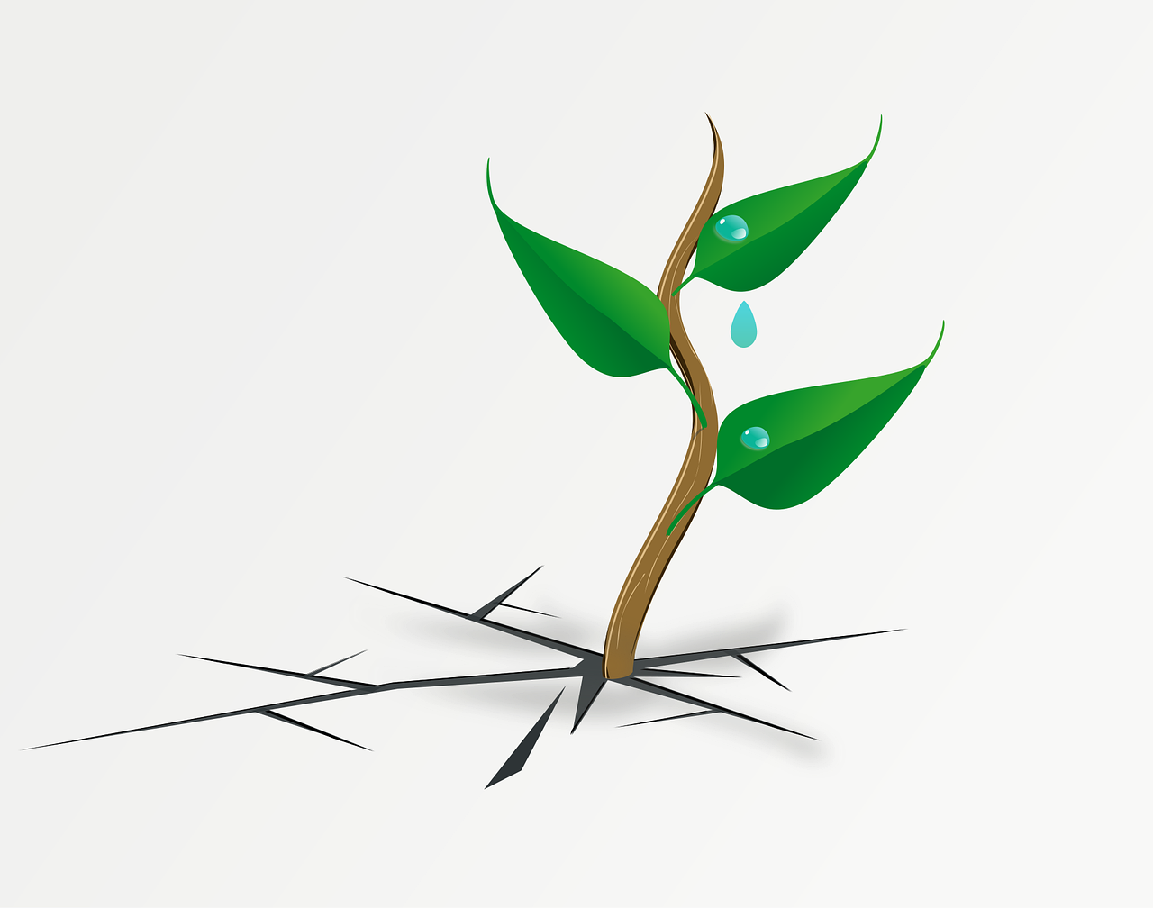 discover the true meaning of resilience and learn practical strategies to build mental strength, overcome challenges, and thrive in the face of adversity. find expert tips and inspiring stories.