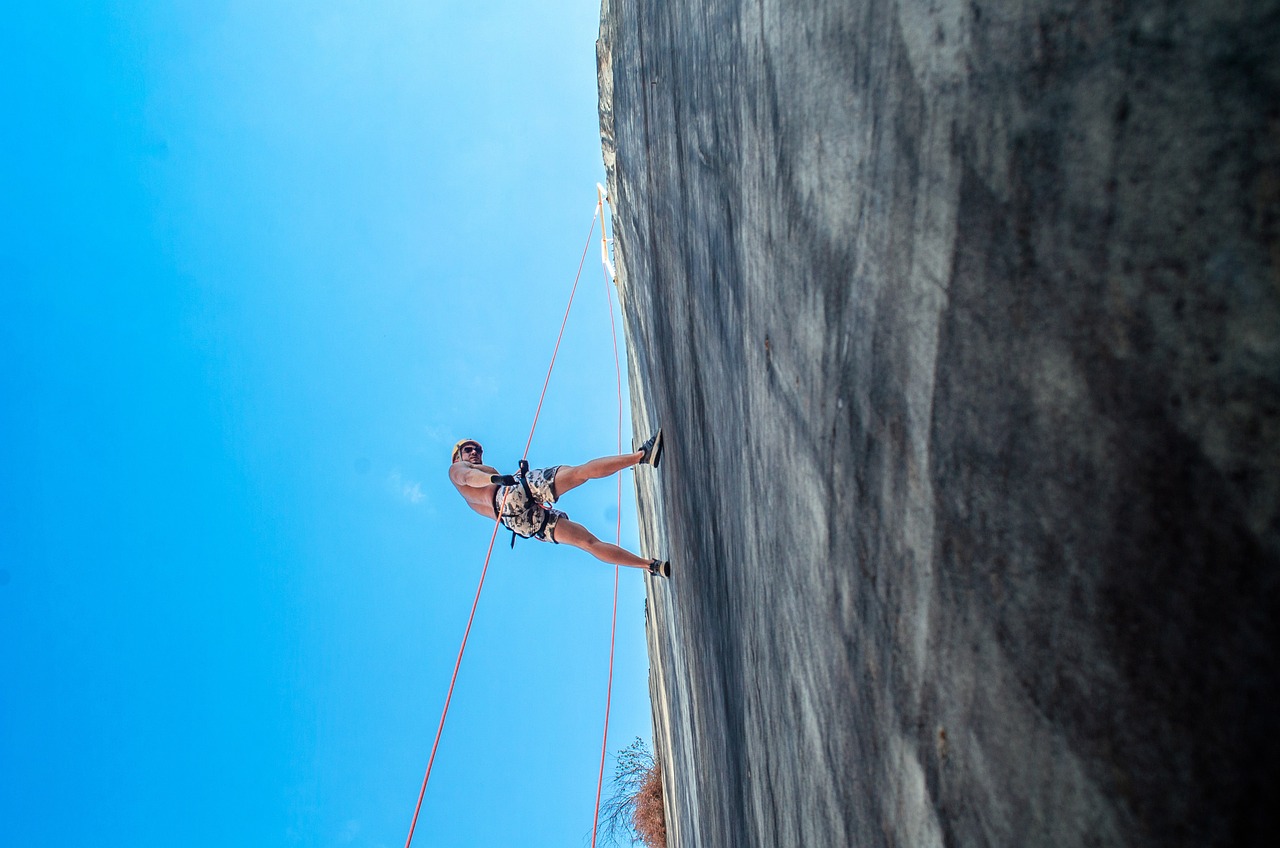 discover the true meaning of resilience, its importance in overcoming challenges, and practical tips to build mental strength for personal growth and success.