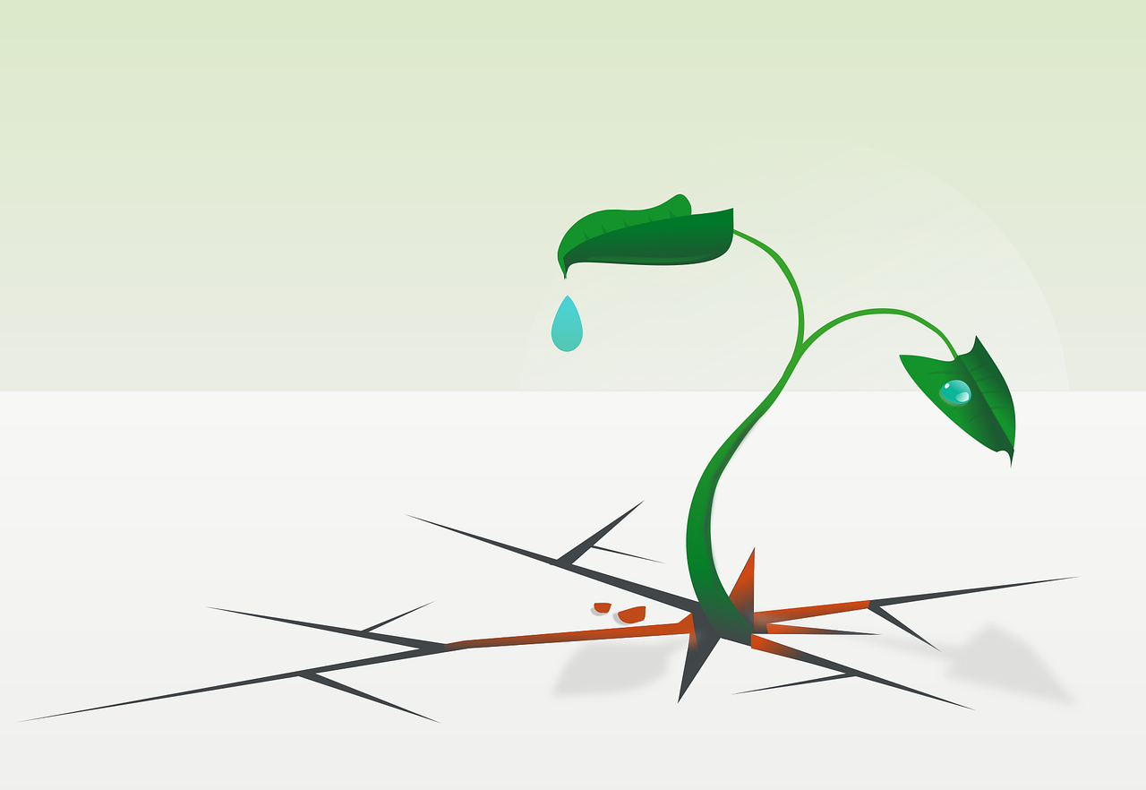 discover what resilience means, why it matters in everyday life, and how you can develop the ability to overcome challenges and bounce back stronger from adversity.